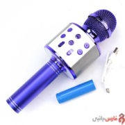 WSTER-microphone-speaker-wireless-model-WS-858-21