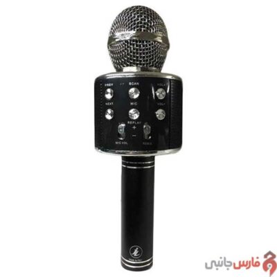WSTER-microphone-speaker-wireless-model-WS-858