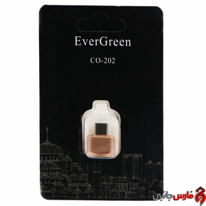 Ever-Green-CO-202-OTG-Type-C-Adapter