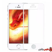 Full-Cover-Glass-For-iPhone-5-1